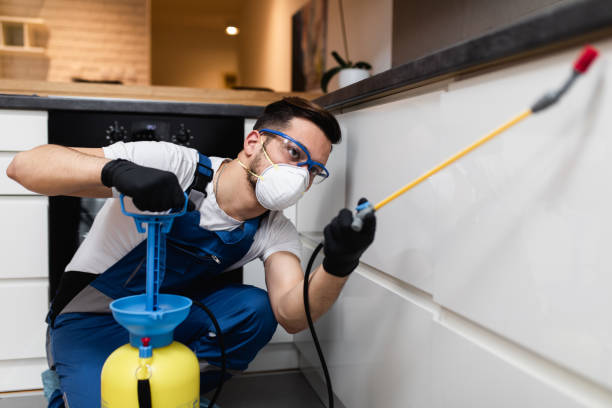 Best Emergency Pest Control  in Lely, FL