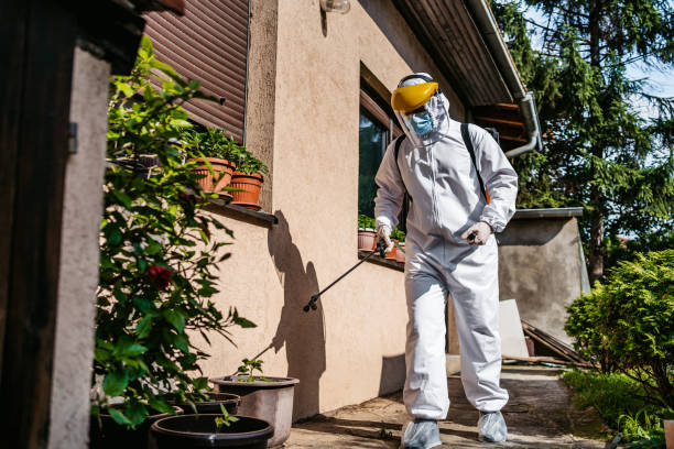 Best Pest Control Near Me in Lely, FL