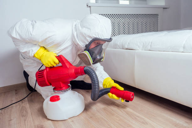 Best Cockroach Control Services  in Lely, FL