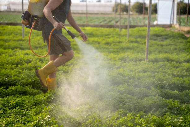 Wildlife Control Services in Lely, FL